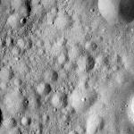 FC21A0011810_11300031520F4M.jpg