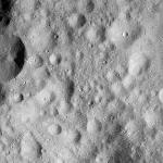 FC21A0011820_11300032130F6M.jpg