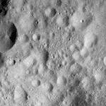 FC21A0011821_11300032138F7M.jpg