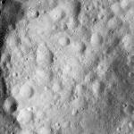 FC21A0011823_11300032659F8M.jpg