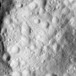 FC21A0011826_11300032720F5M.jpg