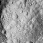 FC21A0011827_11300032728F4M.jpg