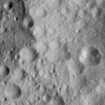 FC21A0011834_11300033316F4M.jpg
