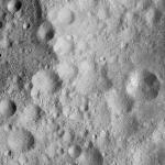 FC21A0011836_11300033330F6M.jpg