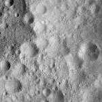FC21A0011837_11300033337F7M.jpg