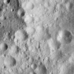 FC21A0011838_11300033342F8M.jpg