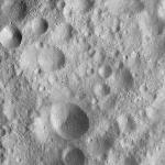 FC21A0011839_11300033856F8M.jpg