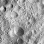 FC21A0011841_11300033909F6M.jpg