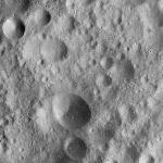 FC21A0011844_11300033930F3M.jpg