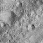 FC21A0011859_11300035132F4M.jpg