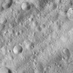 FC21A0011866_11300035714F4M.jpg