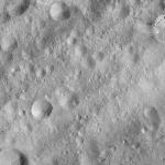 FC21A0011868_11300035727F6M.jpg