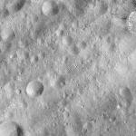 FC21A0011869_11300035733F7M.jpg