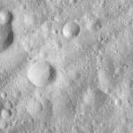 FC21A0011871_11300040252F8M.jpg