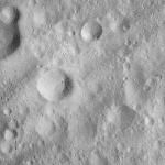 FC21A0011875_11300040321F4M.jpg
