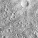 FC21A0011879_11300040857F1M.jpg