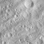 FC21A0011880_11300040903F2M.jpg
