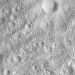 FC21A0011881_11300040909F3M.jpg