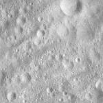 FC21A0011885_11300040936F7M.jpg