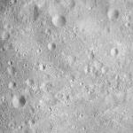 FC21A0011900_11300042138F6M.jpg