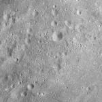 FC21A0011910_11300042757F1M.jpg