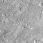 FC21A0011912_11300043307F2M.jpg
