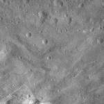 FC21A0011920_11300043911F7M.jpg