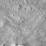 FC21A0011921_11300043918F6M.jpg
