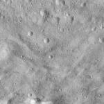 FC21A0011922_11300043926F5M.jpg