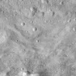 FC21A0011923_11300043933F4M.jpg