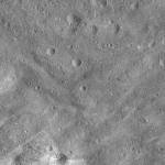 FC21A0011924_11300043940F3M.jpg