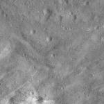 FC21A0011925_11300043946F2M.jpg
