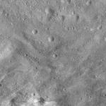 FC21A0011926_11300043954F1M.jpg