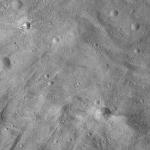 FC21A0011932_11300044531F6M.jpg