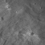 FC21A0011933_11300044537F7M.jpg