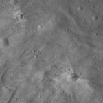 FC21A0011934_11300044544F8M.jpg