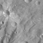 FC21A0011935_11300045658F8M.jpg
