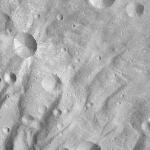 FC21A0011937_11300045716F6M.jpg
