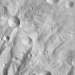 FC21A0011939_11300045733F4M.jpg