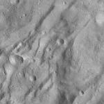 FC21A0011951_11300052101F8M.jpg
