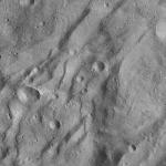 FC21A0011953_11300052115F6M.jpg