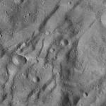 FC21A0011955_11300052129F4M.jpg