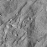 FC21A0011957_11300052145F2M.jpg