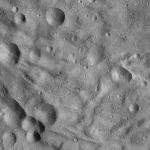 FC21A0011962_11300053321F4M.jpg