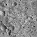 FC21A0011964_11300053335F6M.jpg