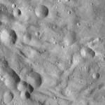 FC21A0011966_11300053348F8M.jpg