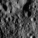 FC21A0012025_11300145432F3M.jpg