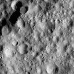 FC21A0012052_11300151704F3M.jpg
