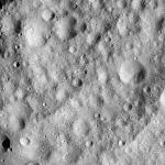 FC21A0012060_11300152251F6M.jpg