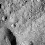 FC21A0012063_11300152816F8M.jpg